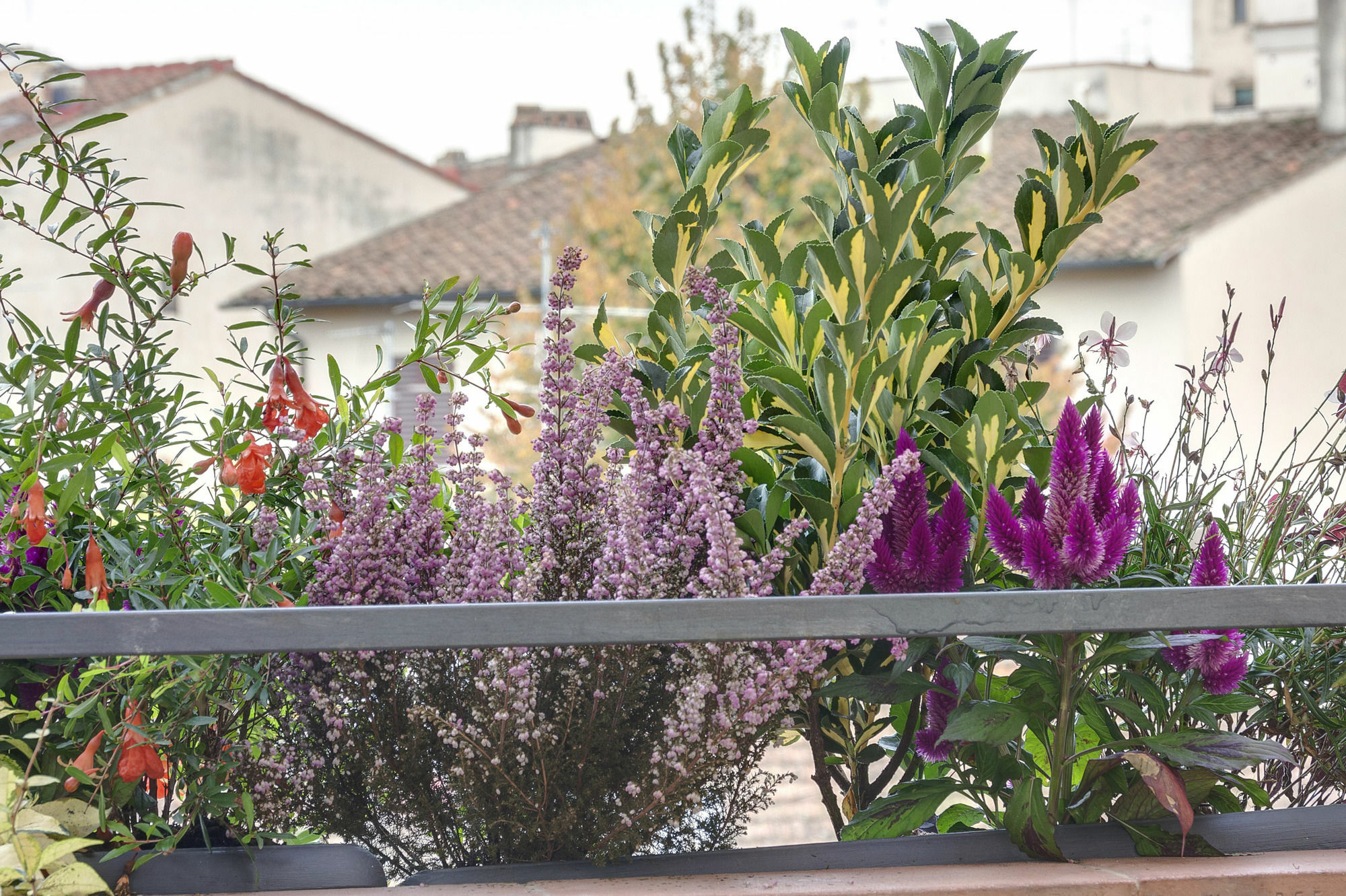 Dolce Vita Suite Firenze Eksteriør bilde